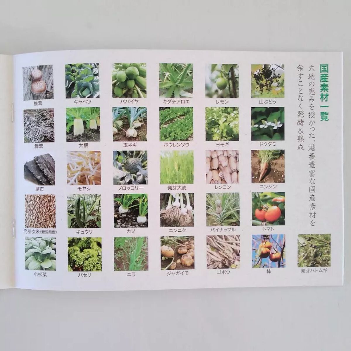 おほあんどうふ on LIPS 「砂糖を入れずにおやつや料理が出来ちゃった😃✌️31種もの食材を..」(6枚目)