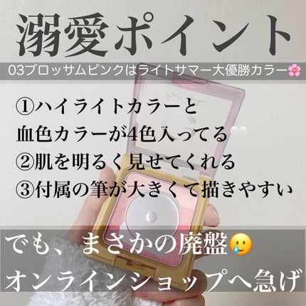 グラデーションチーク N/excel/パウダーチークを使ったクチコミ(2枚目)