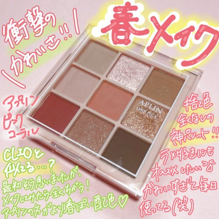 ワンピックアイシャドウパレット/APLIN/アイシャドウパレットを使ったクチコミ(1枚目)