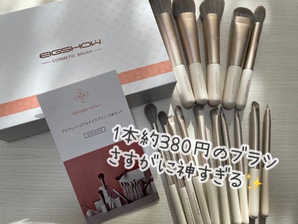 プロフェッショナルブラシ15本/EIGSHOW/メイクブラシを使ったクチコミ(1枚目)