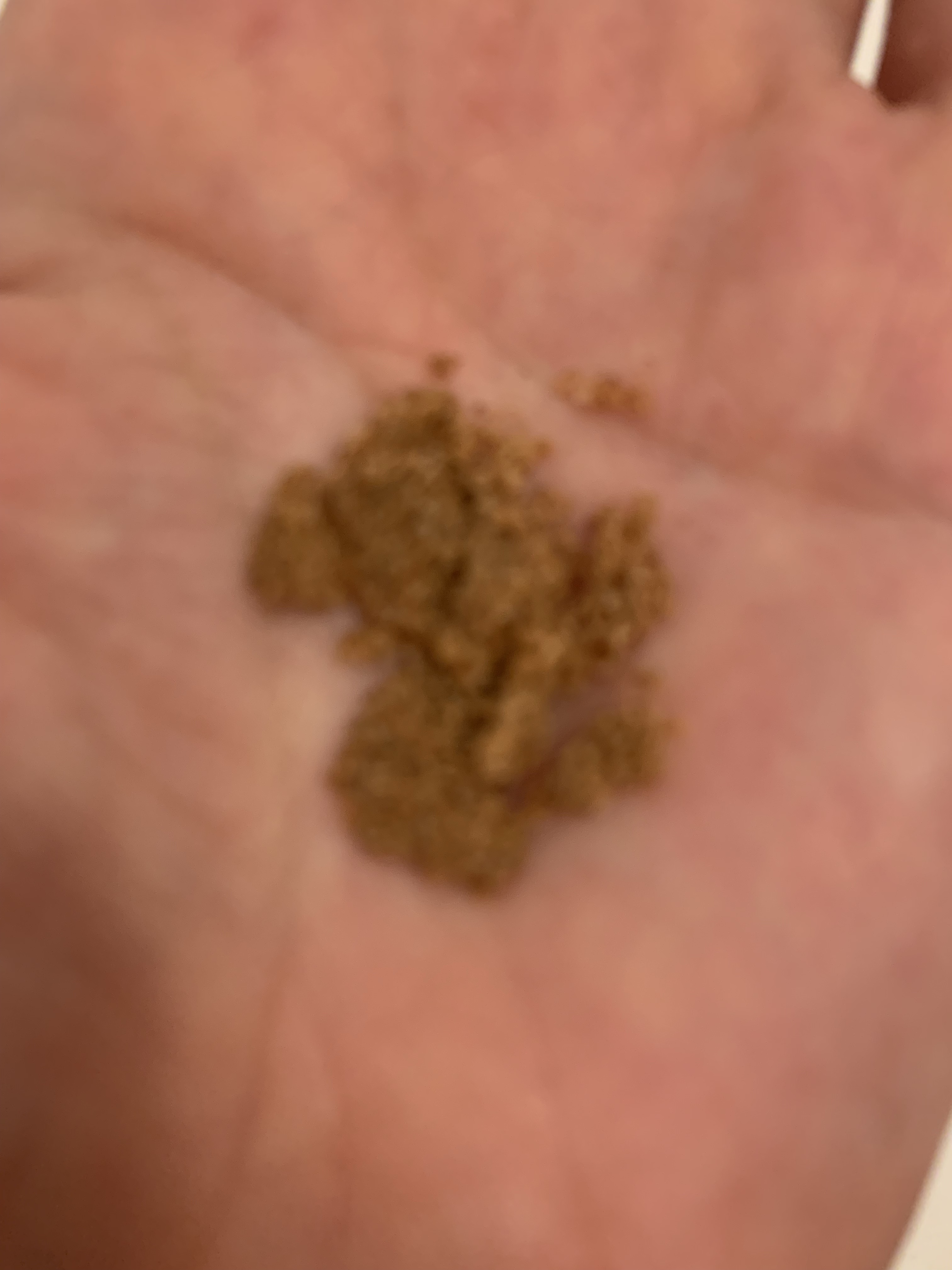 フェイススクラブ ブラッシャー VG/アーレス/スクラブ・ゴマージュを使ったクチコミ（3枚目）