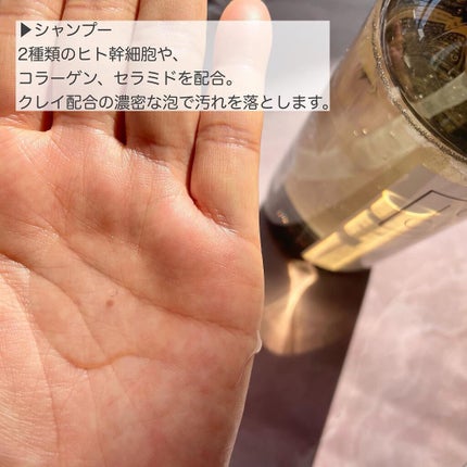 ジョワセル モイストシャンプー/JOIE CELU/市販シャンプーを使ったクチコミ(3枚目)