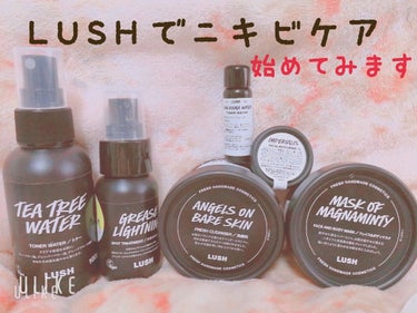 LUSHでニキビケアはじめます！！
春の肌荒れ、ニキビ、乾燥……🗿🌵🐪🌴

花粉症のせいかお肌の治安が過去最悪なことに:(  '-'   ):

これは何とかしないといけないと思い
クチコミでも効果が高