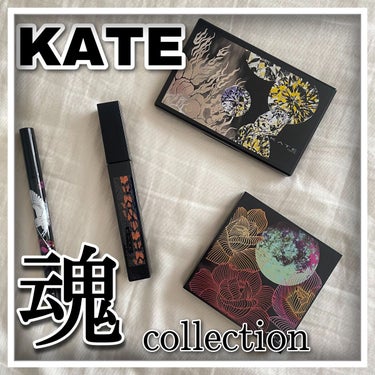 KATE 魂コレクション シェードカラーキープライナー/KATE/リキッドアイライナーを使ったクチコミ（1枚目）