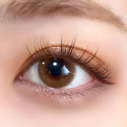 2021 F/Wルックブックパレット/espoir/アイシャドウパレットを使ったクチコミ(4枚目)