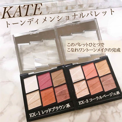 トーンディメンショナルパレット/KATE/メイクアップキットを使ったクチコミ(1枚目)