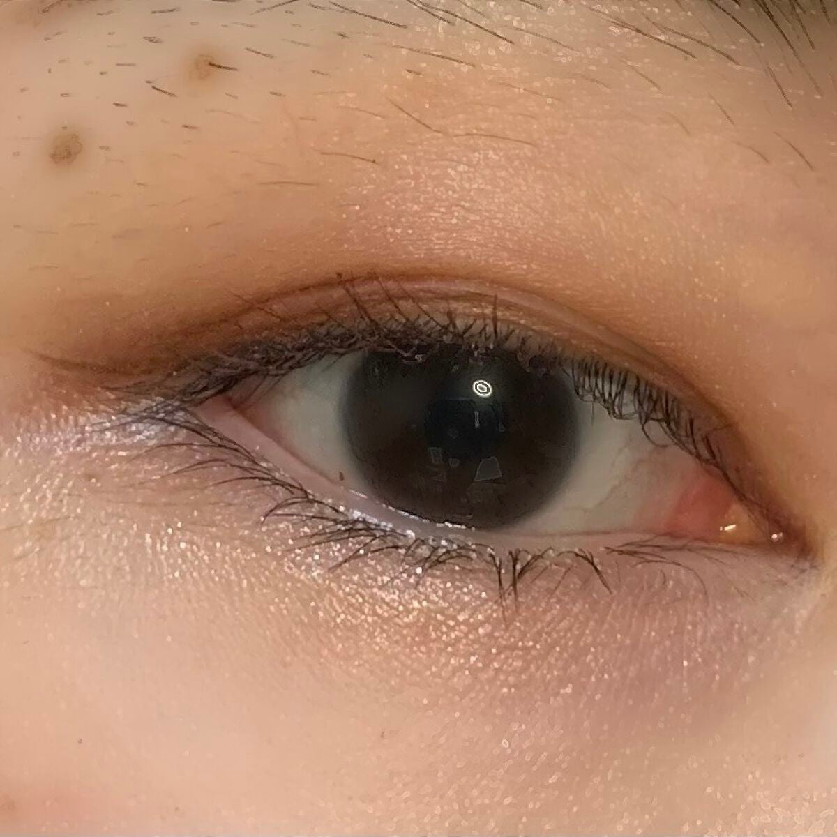 ニュアンスオンアイシャドウ/CEZANNE/アイシャドウパレットを使ったクチコミ(2枚目)