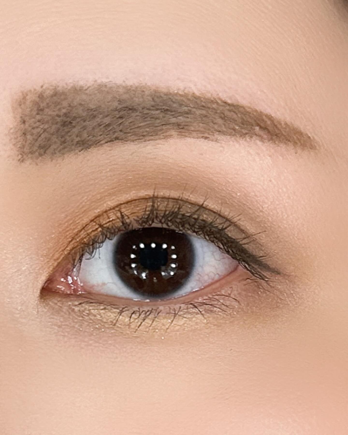 モダンアイシャドウ イタルプリズム/MISSHA/単色アイシャドウを使ったクチコミ（2枚目）