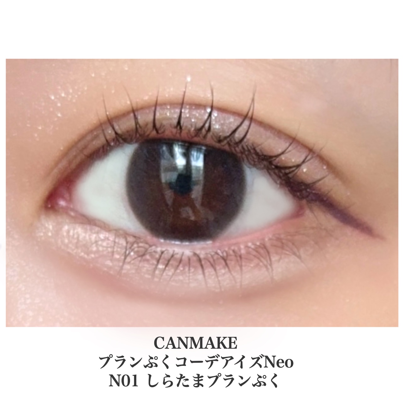 プランぷくコーデアイズNeo/キャンメイク/アイシャドウを使ったクチコミ（3枚目）