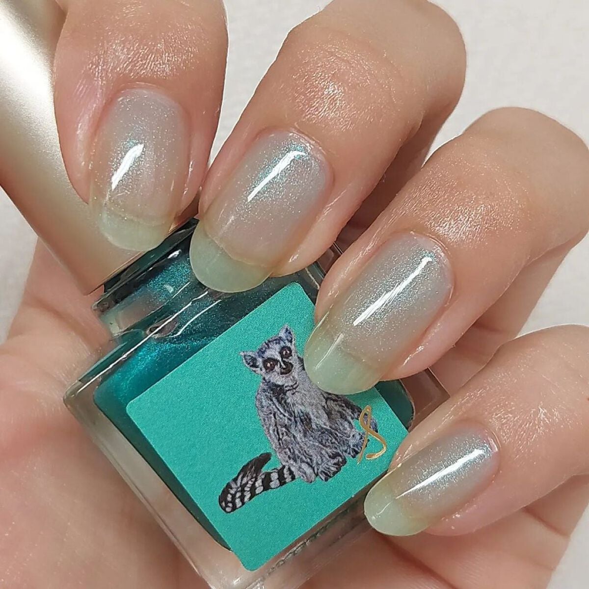 ネイルエス/ nail S(ネイルエス) /マニキュアを使ったクチコミ(1枚目)