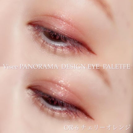 パノラマデザイン アイパレット/Visée/アイシャドウパレットを使ったクチコミ(2枚目)