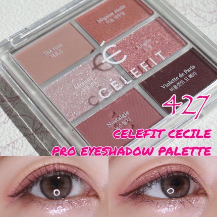 プロアイシャドウパレットセシル/CELEFIT/アイシャドウパレットを使ったクチコミ(1枚目)