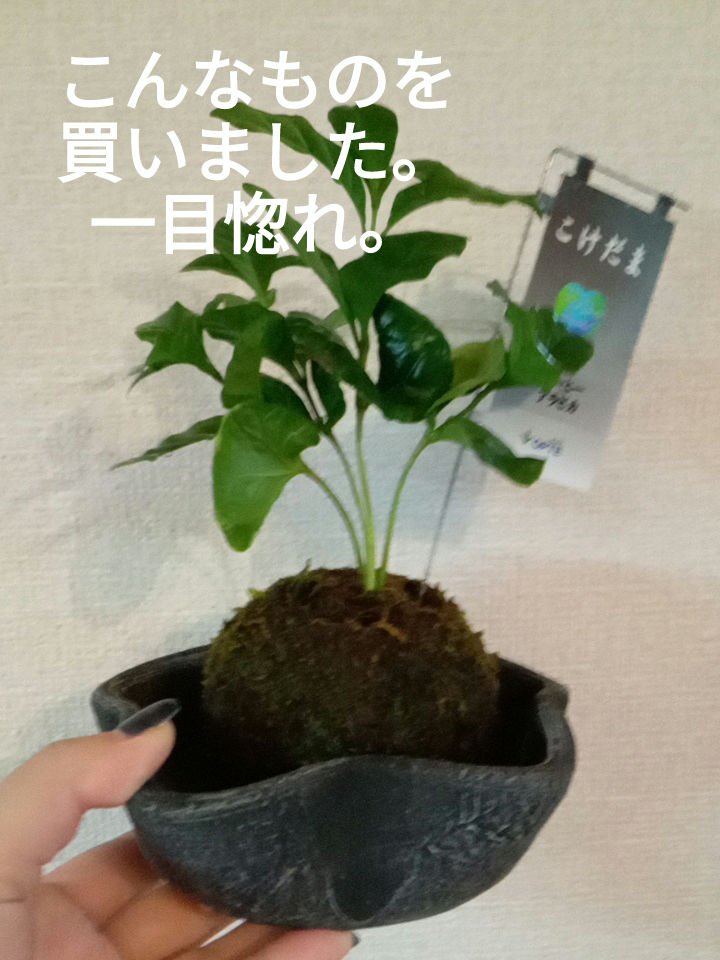 フルーティーグラムティント/Laka/リップティントを使ったクチコミ（1枚目）