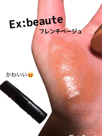 エクスアーティスト ピントルージュ/エクスボーテ/口紅を使ったクチコミ(1枚目)