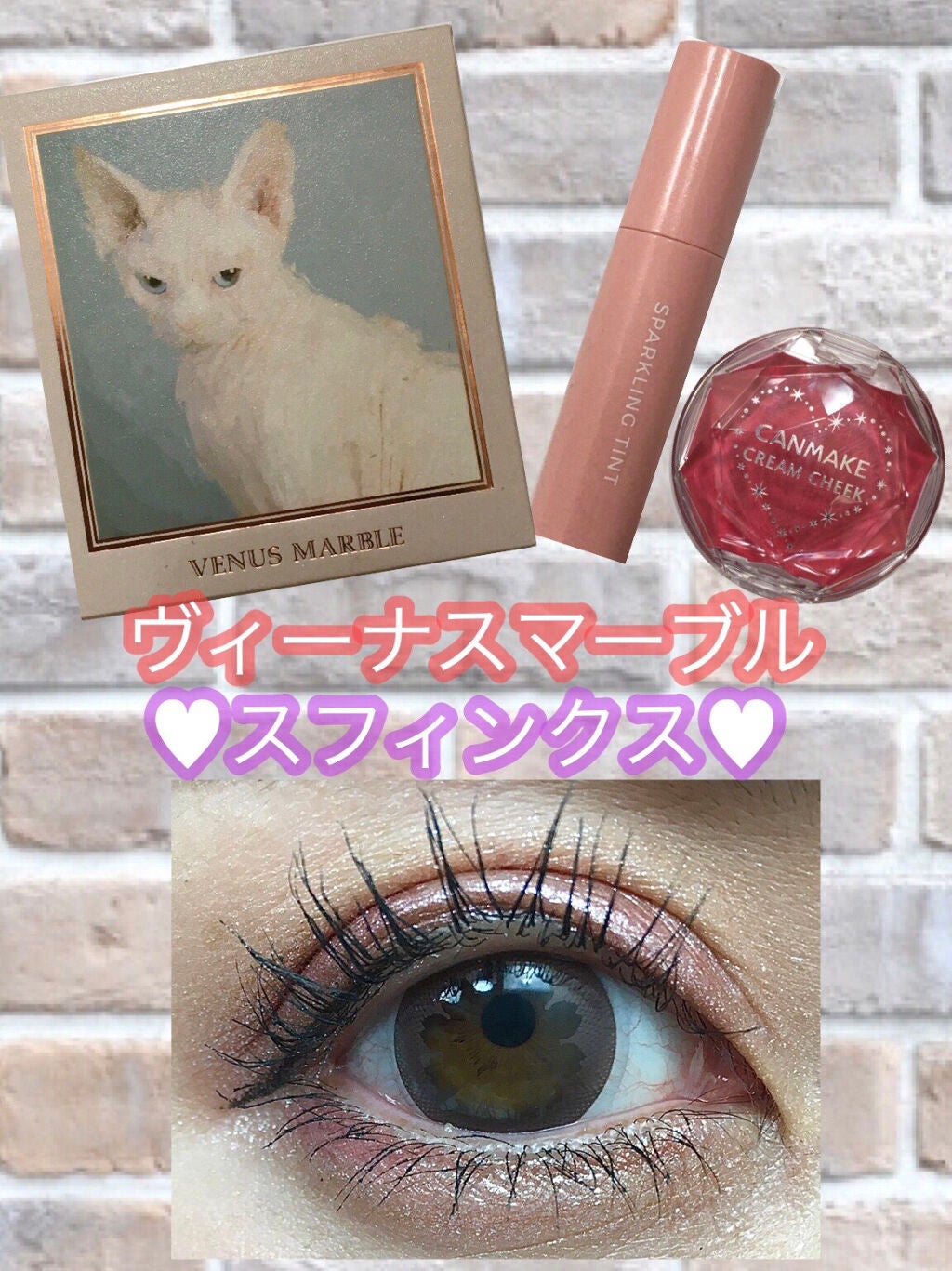 Venus Marble アイシャドウキャットシリーズ/Venus Marble/アイシャドウパレットを使ったクチコミ(1枚目)