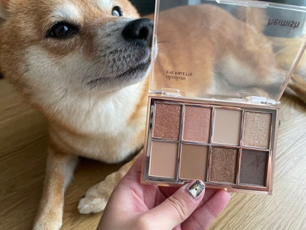 デイリズムアイパレット/heimish/アイシャドウパレットを使ったクチコミ(2枚目)