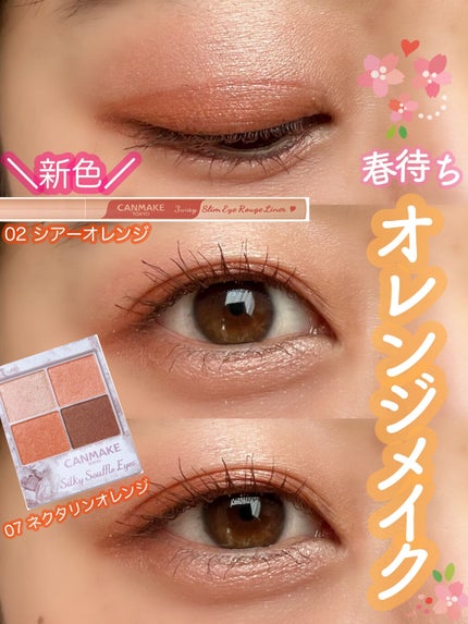 シルキースフレアイズ/キャンメイク/アイシャドウパレットを使ったクチコミ(1枚目)