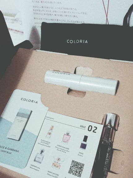 LIGHT BLUE EAU DE TOILETTE(ライトブルー オードトワレ)/DOLCE&GABBANA BEAUTY/香水(レディース)を使ったクチコミ(2枚目)