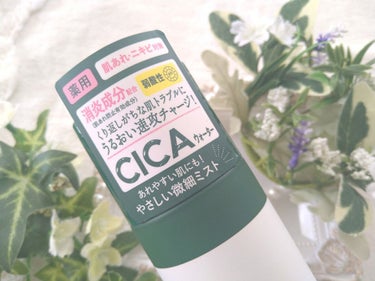 薬用 CICA ウォーターミスト/タイガレイド/ミスト状化粧水を使ったクチコミ（2枚目）