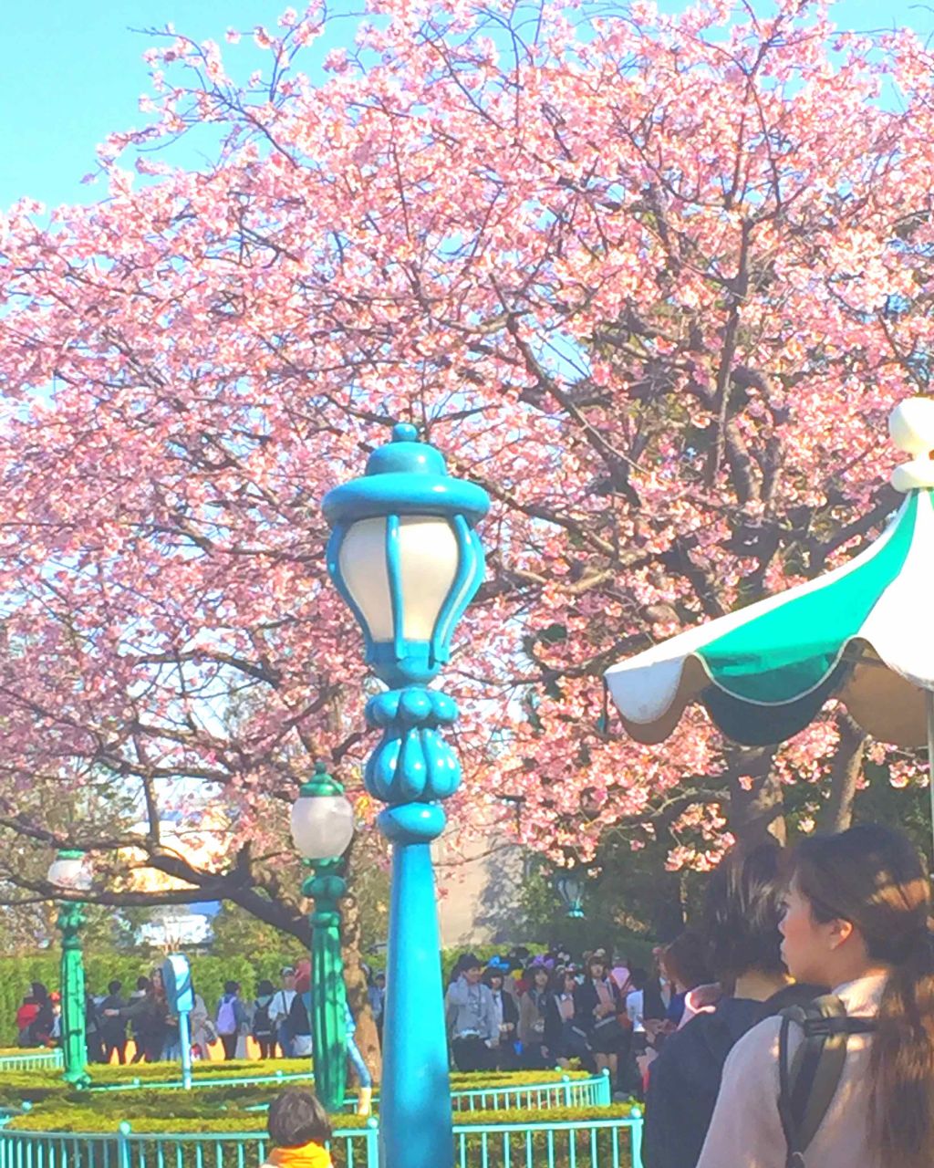 メーキャップ ベース クリーム/ちふれ/化粧下地を使ったクチコミ(1枚目)