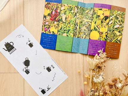 もややい on LIPS 「気分爽やかTB5個入✨健やかな暮らしへの貢献に、bownimよ..」(9枚目)