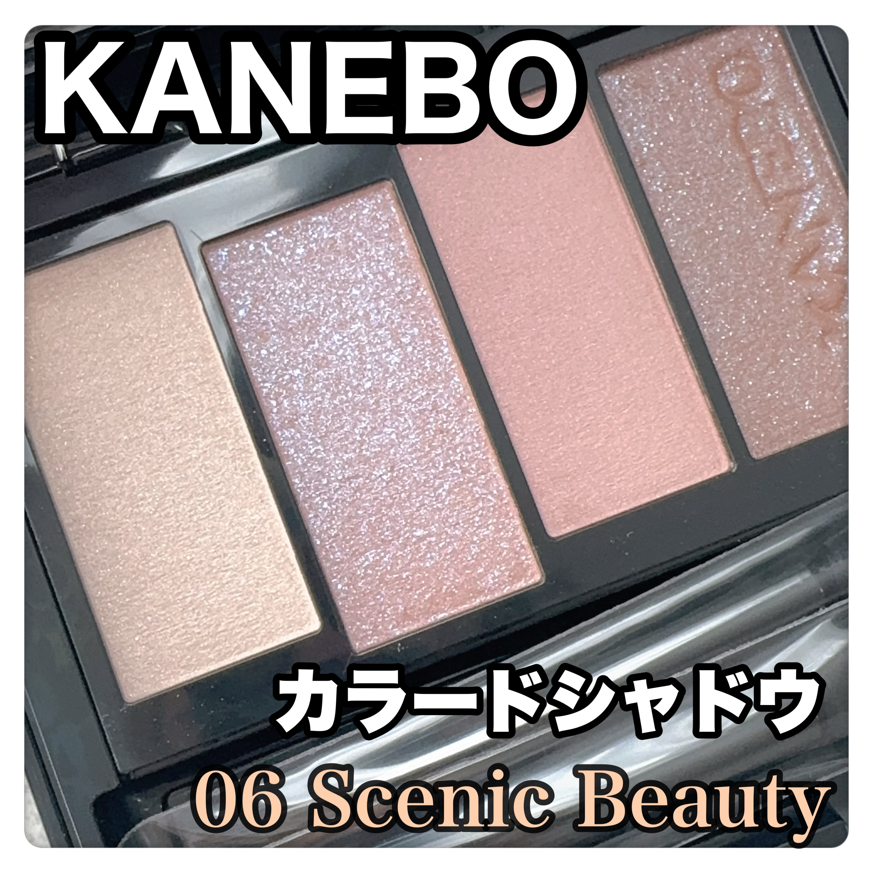カラードシャドウ/KANEBO/アイシャドウパレットを使ったクチコミ（1枚目）