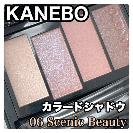 カラードシャドウ/KANEBO/アイシャドウパレットを使ったクチコミ(1枚目)