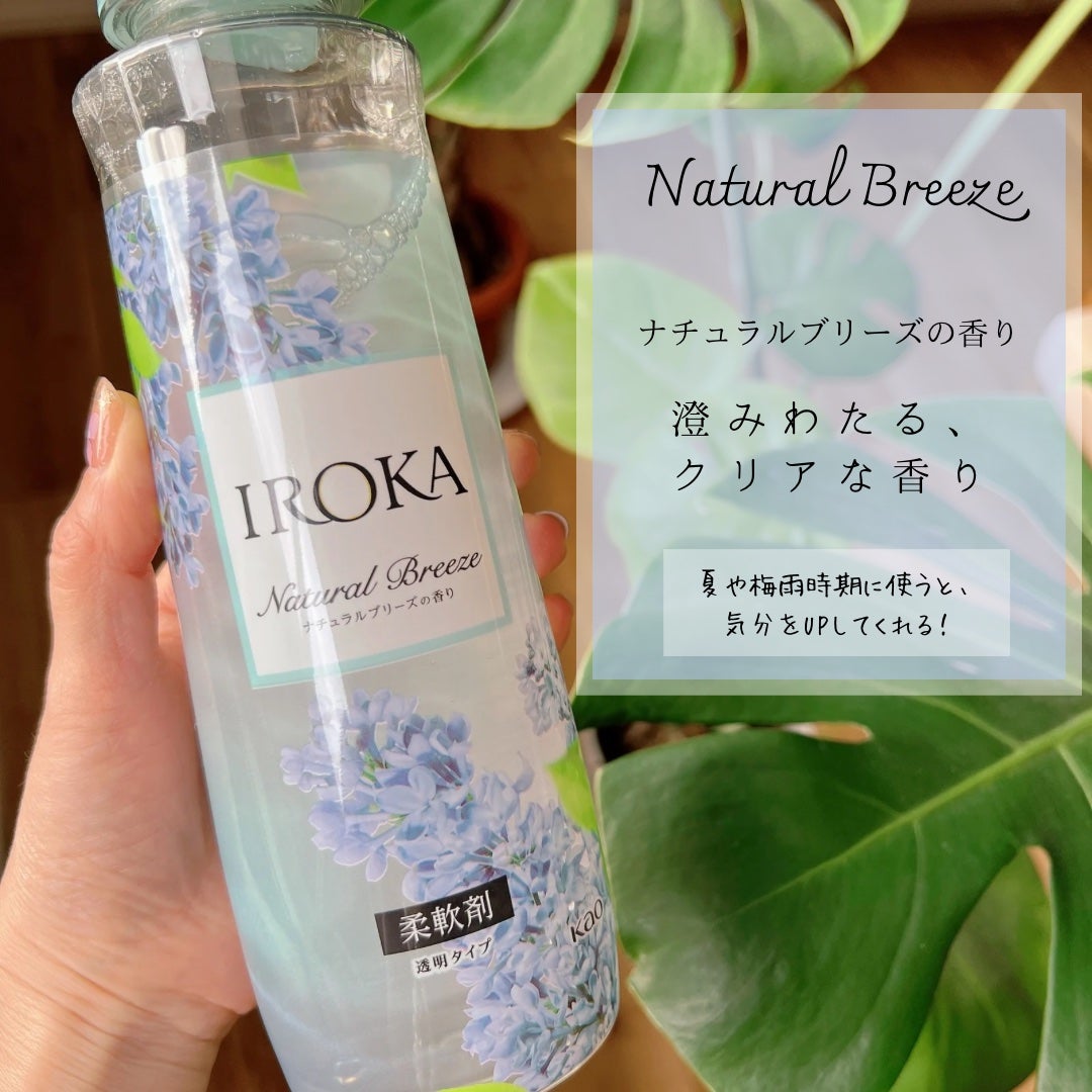 プレミアム柔軟剤 IROKA ネイキッドリリーの香り/IROKA/柔軟剤を使ったクチコミ(4枚目)