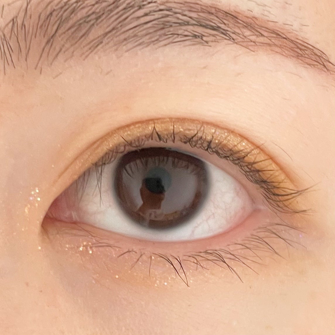 ノーズ&アイブロウパウダー/CEZANNE/パウダーアイブロウを使ったクチコミ(3枚目)