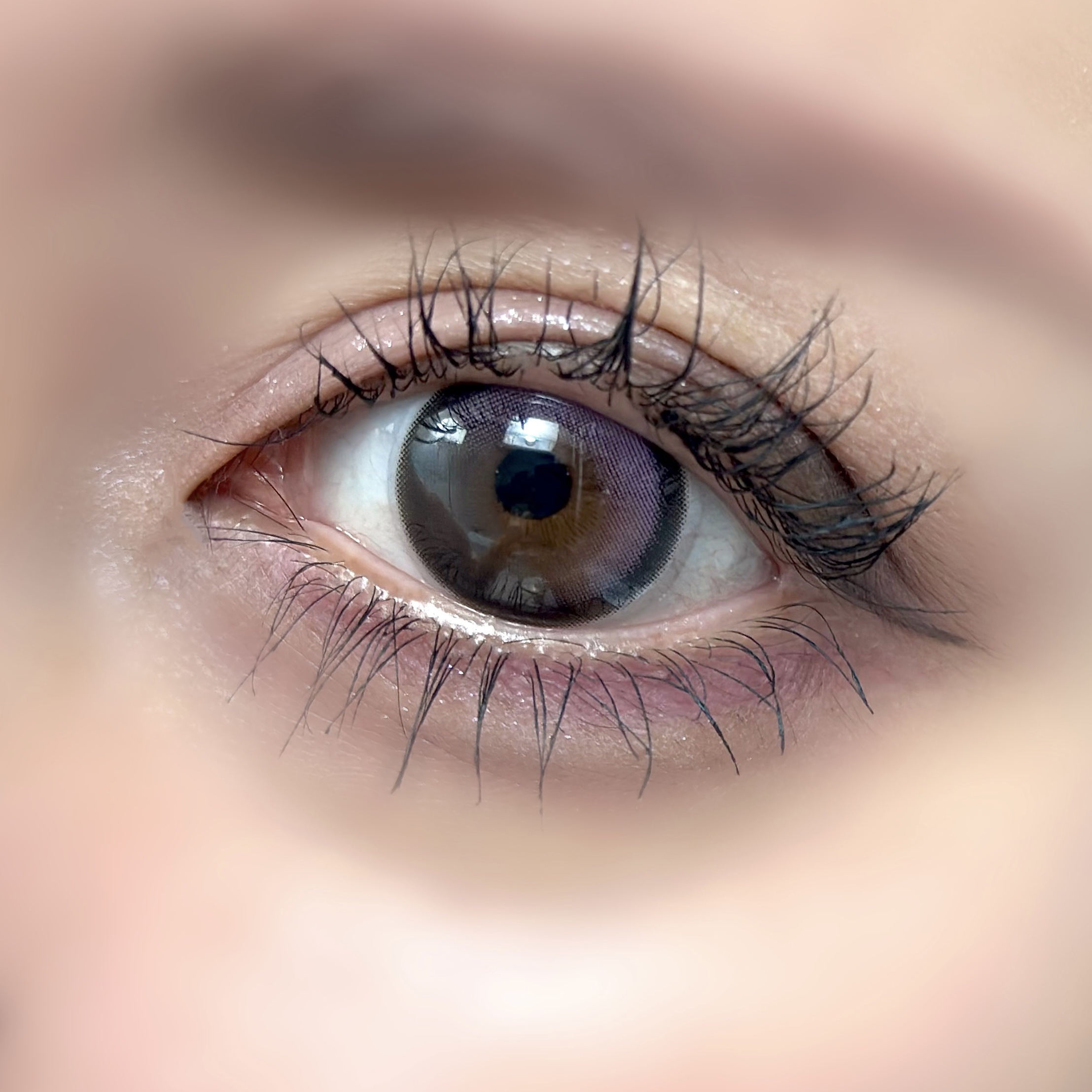 アイコアパレット ギークグレー/espoir/アイシャドウパレットを使ったクチコミ（3枚目）