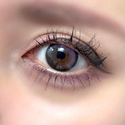 アイコアパレット ギークグレー/espoir/アイシャドウパレットを使ったクチコミ(3枚目)