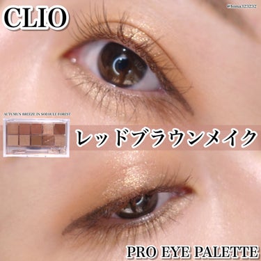 プロ アイ パレット/CLIO/パウダーアイシャドウを使ったクチコミ（1枚目）