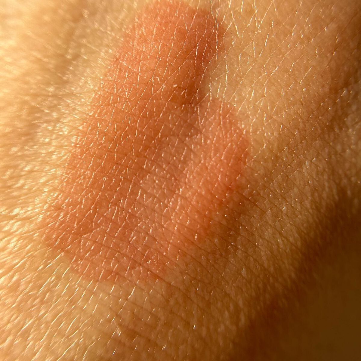 ジェルフィットティント/AMUSE/リップティントを使ったクチコミ(7枚目)