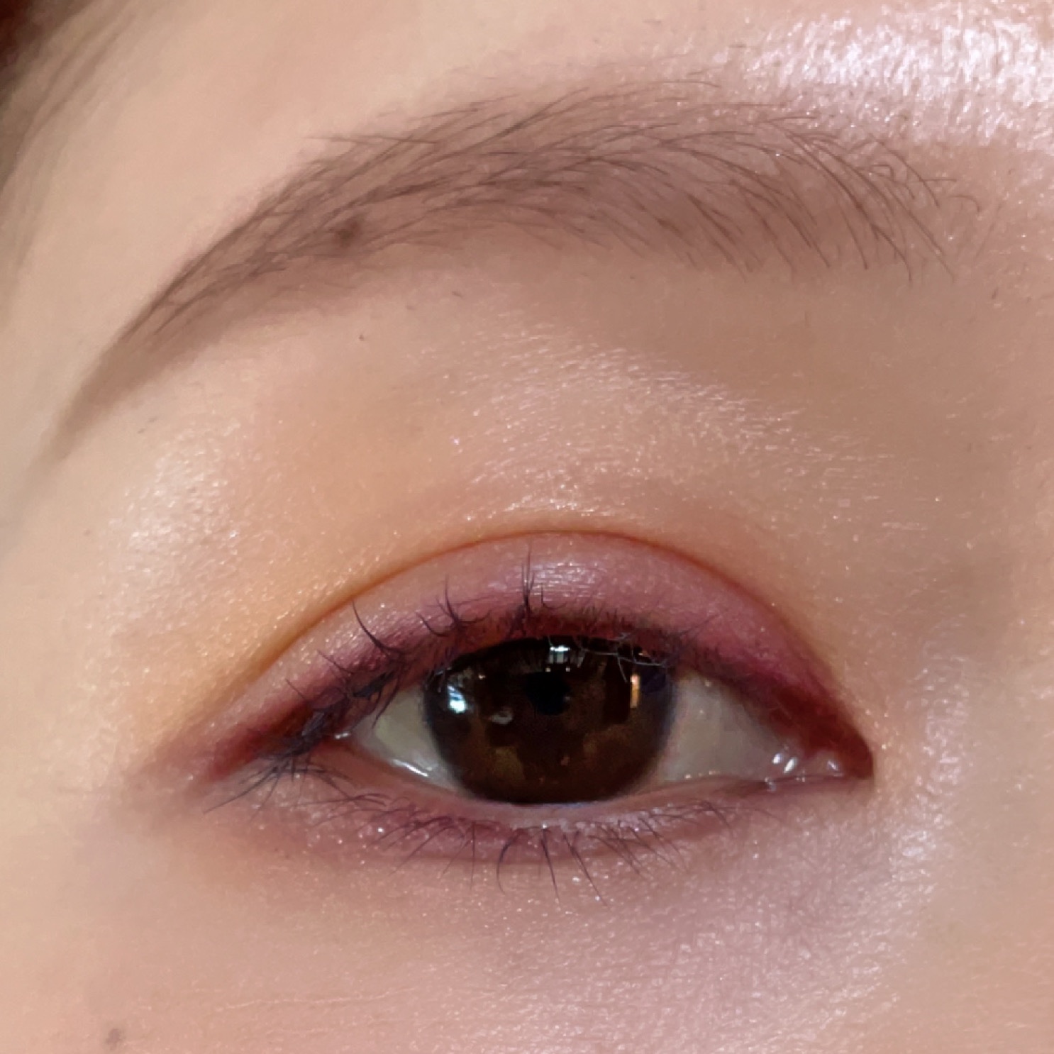 プランプメロウリップス 11 Ecru/LUNASOL/口紅を使ったクチコミ（1枚目）