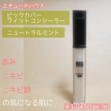 ビッグカバーフィットコンシーラー ニュートラルミント/ETUDE/リキッドコンシーラーを使ったクチコミ（1枚目）