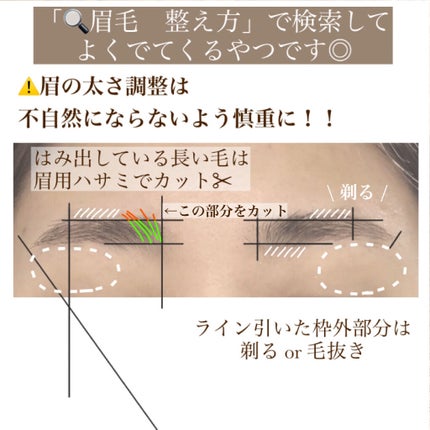 プレミア敏感肌用 Lディスポ/シック/シェーバーを使ったクチコミ(4枚目)