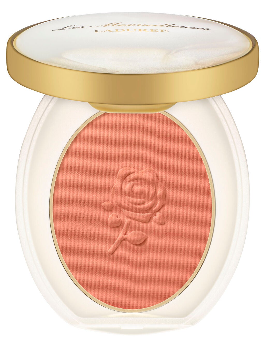 パウダーブラッシュ 13 The (テ)