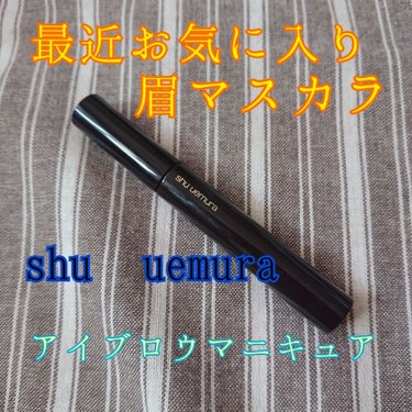 アイブロー マニキュア トニーゴールド/shu uemura/眉マスカラを使ったクチコミ（1枚目）