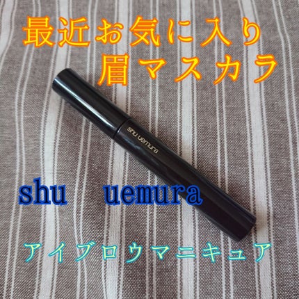 アイブロー マニキュア トニーゴールド/shu uemura/眉マスカラの画像