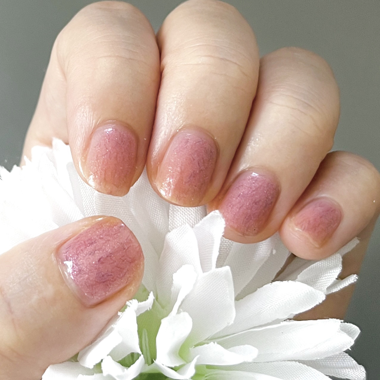 jill leen. 繊維ネイル /jill leen./マニキュアを使ったクチコミ（1枚目）