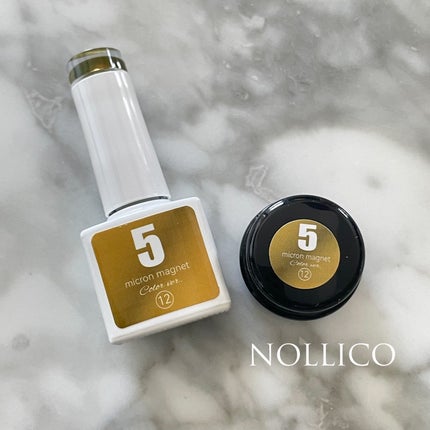 #マグネットネイル,#セルフネイル,#ジェルネイルのネイルデザイン