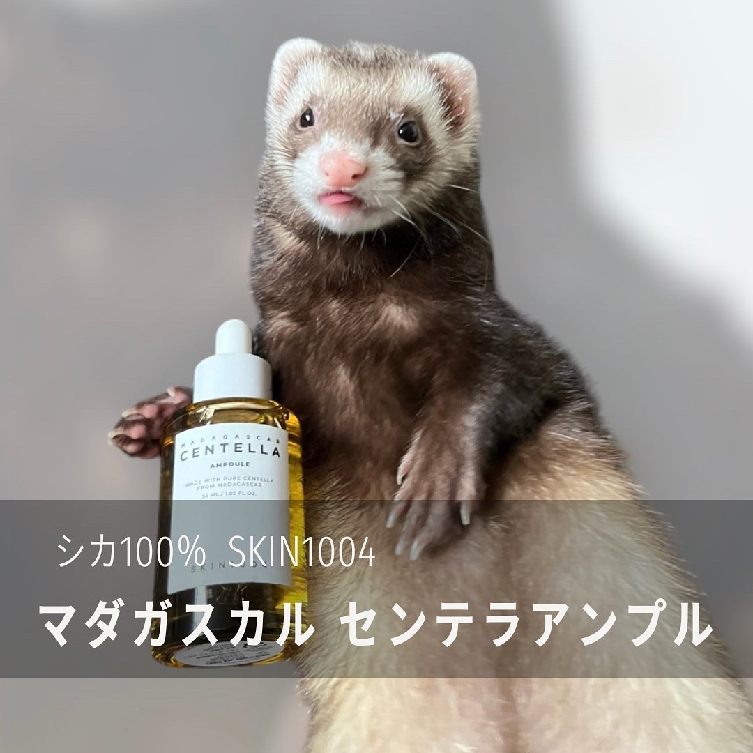 センテラ アンプル/SKIN1004/美容液を使ったクチコミ（1枚目）