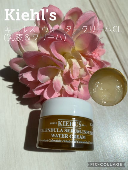キールズ ウォータークリームCL/Kiehl's/フェイスクリームを使ったクチコミ(1枚目)