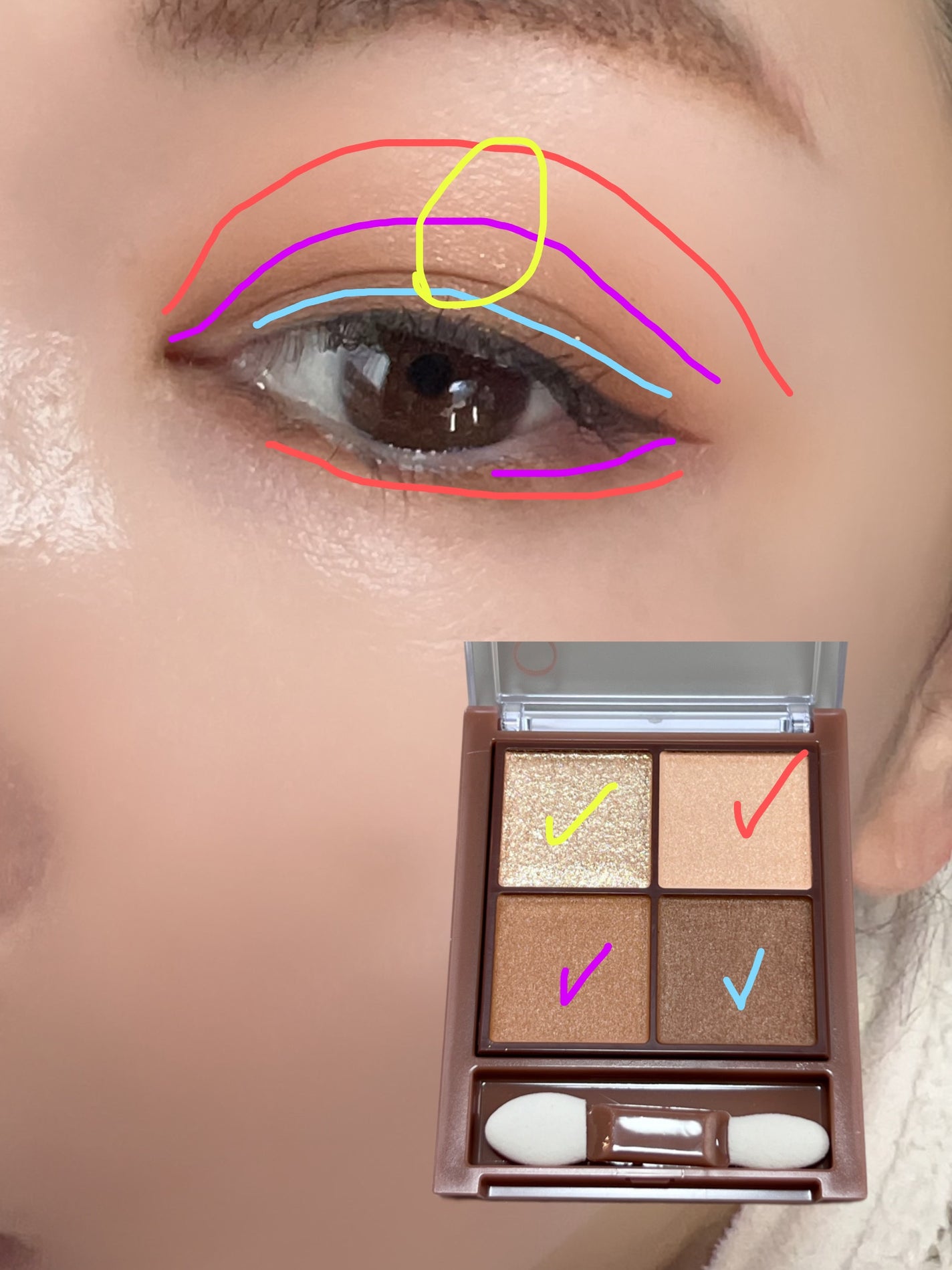 ビタートーンアイシャドウ/CEZANNE/パウダーアイシャドウを使ったクチコミ(4枚目)