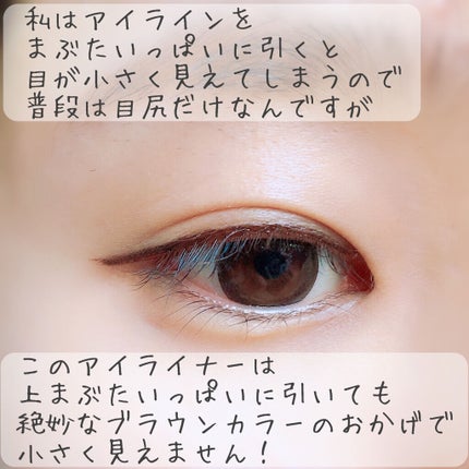 スキルレスライナー/LUMIURGLAS/リキッドアイライナーを使ったクチコミ(6枚目)