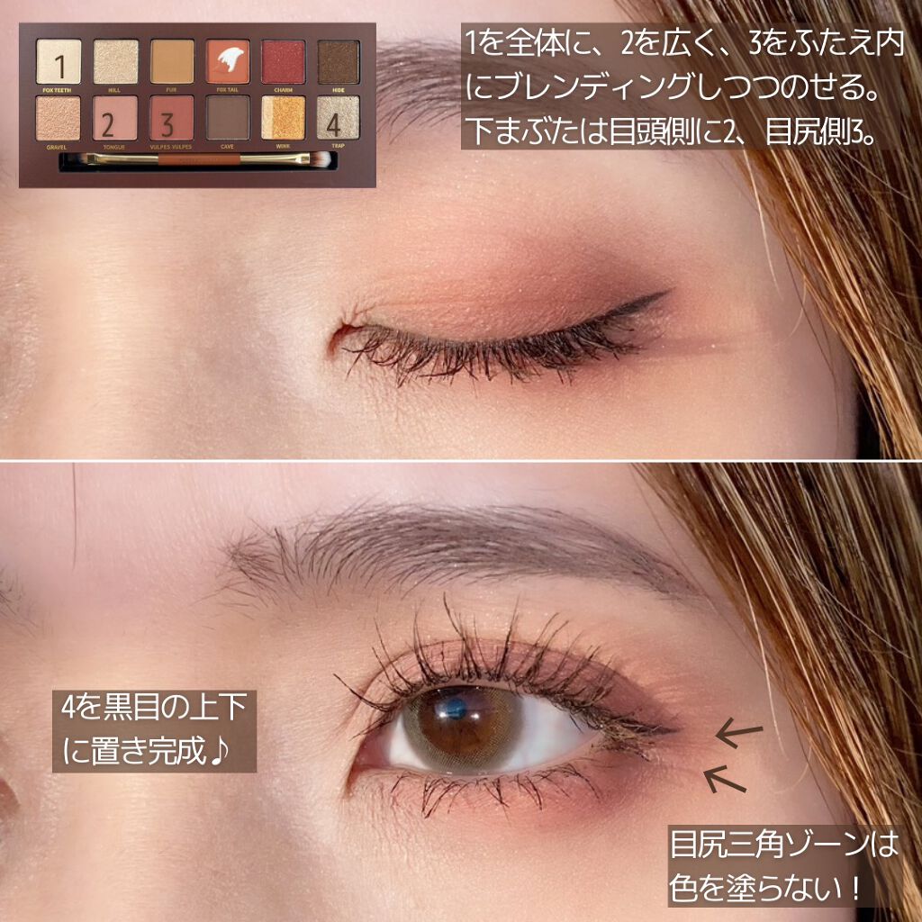 エクスプローラ12色 動物アイシャドウパレット/PERFECT DIARY/アイシャドウパレットを使ったクチコミ（2枚目）