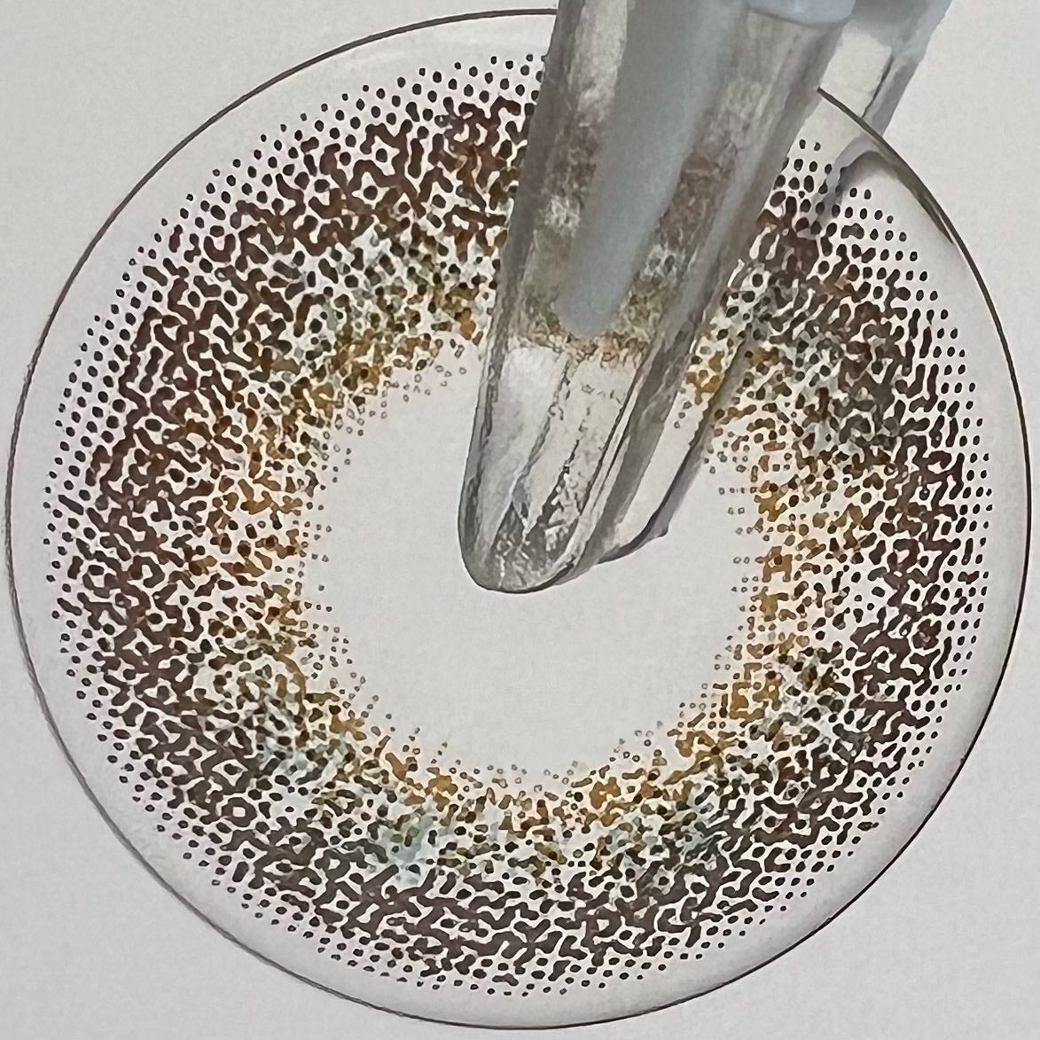 エバーカラーワンデー ルクアージュ/エバーカラー/ワンデー(1DAY)カラコンを使ったクチコミ(9枚目)