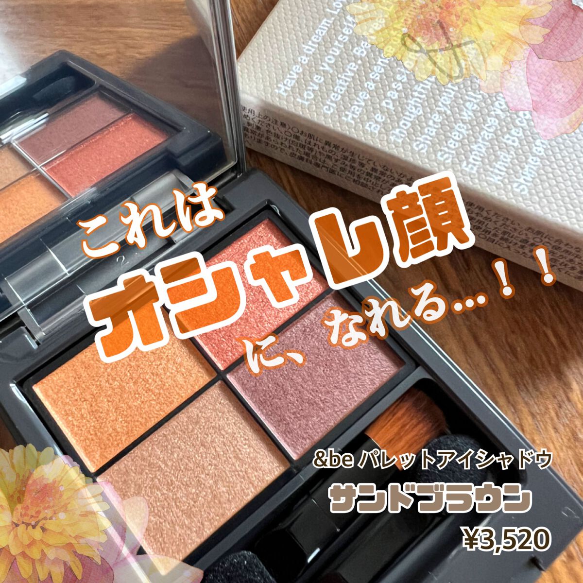 パレットアイシャドウ サンドブラウン/＆be/アイシャドウパレットを使ったクチコミ（1枚目）