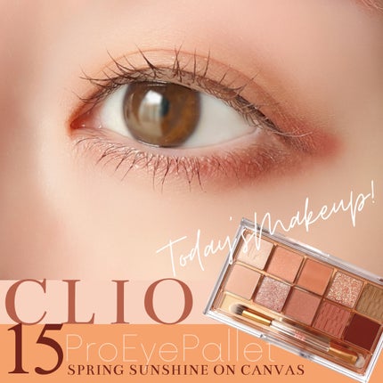 プロ アイ パレット/CLIO/アイシャドウパレットを使ったクチコミ(1枚目)