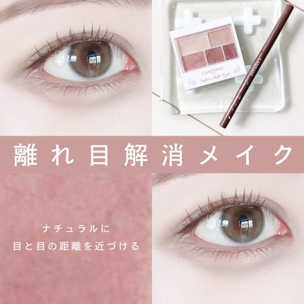 パーフェクトマルチアイズ/キャンメイク/アイシャドウパレットを使ったクチコミ(1枚目)